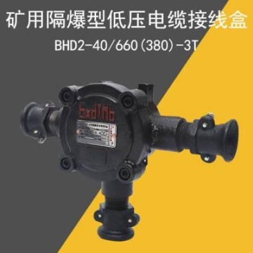 BHD2-40/660(380)-3T 防爆三通接线盒 40A低压电缆接线盒